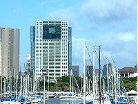 Hawaiki Tower 繝上Ρ繧､繧ｭ繧ｿ繝ｯ繝ｼ 螢ｲ繧顔黄莉ｶ