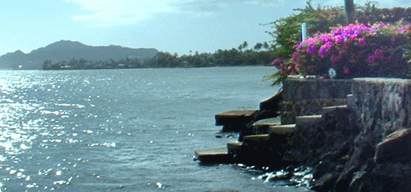 ハワイのボートデッキ、桟橋