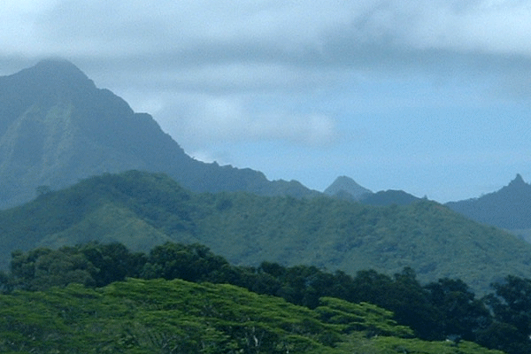 ハワイの山